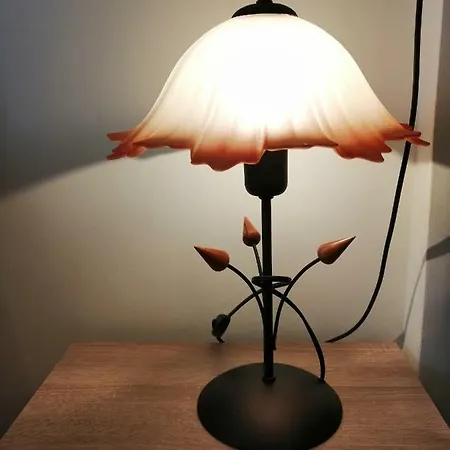 Daire Academic Sofya